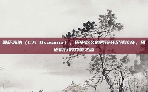 奥萨苏纳（CA Osasuna），历史悠久的西班牙足球传奇，砥砺前行的力量之源