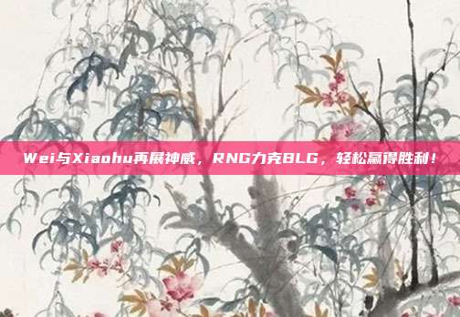 Wei与Xiaohu再展神威，RNG力克BLG，轻松赢得胜利！