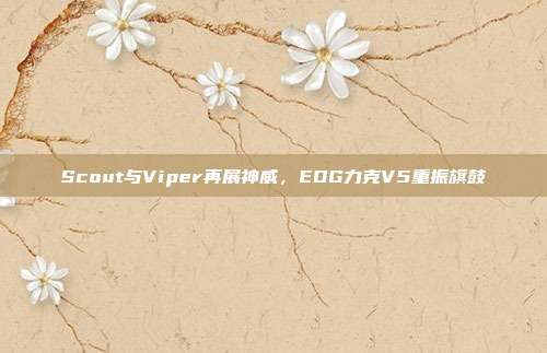 Scout与Viper再展神威，EDG力克V5重振旗鼓