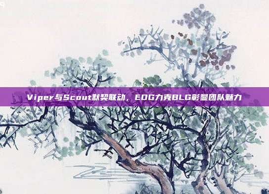 Viper与Scout默契联动，EDG力克BLG彰显团队魅力