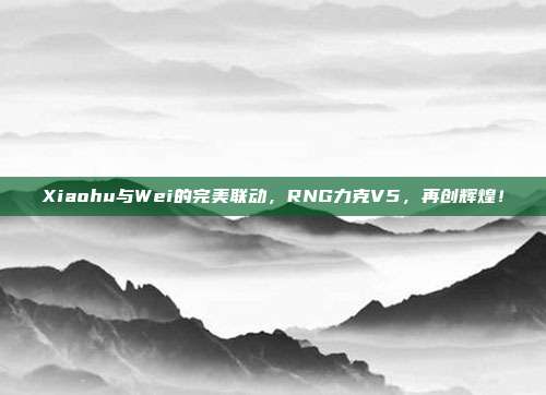 Xiaohu与Wei的完美联动，RNG力克V5，再创辉煌！