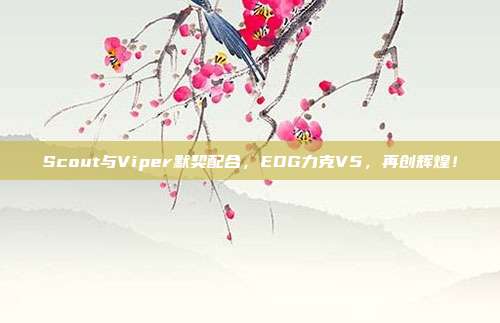 Scout与Viper默契配合，EDG力克V5，再创辉煌！