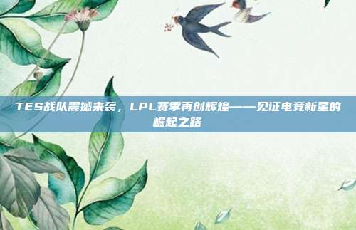 TES战队震撼来袭，LPL赛季再创辉煌——见证电竞新星的崛起之路