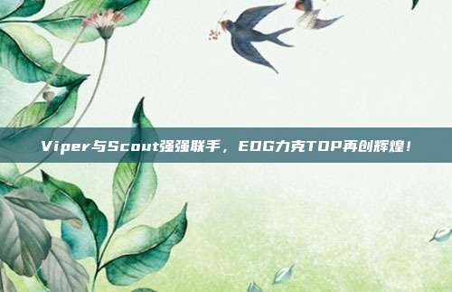 Viper与Scout强强联手，EDG力克TOP再创辉煌！