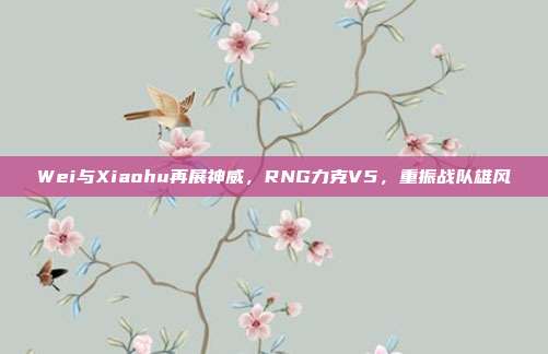 Wei与Xiaohu再展神威，RNG力克V5，重振战队雄风