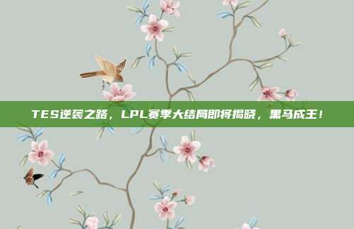 TES逆袭之路，LPL赛季大结局即将揭晓，黑马成王！