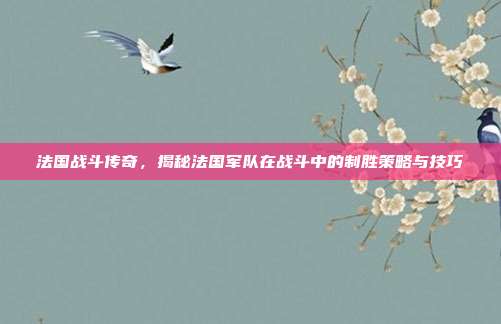 法国战斗传奇，揭秘法国军队在战斗中的制胜策略与技巧