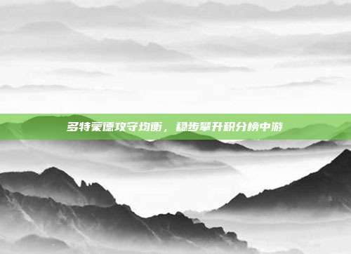 多特蒙德攻守均衡，稳步攀升积分榜中游